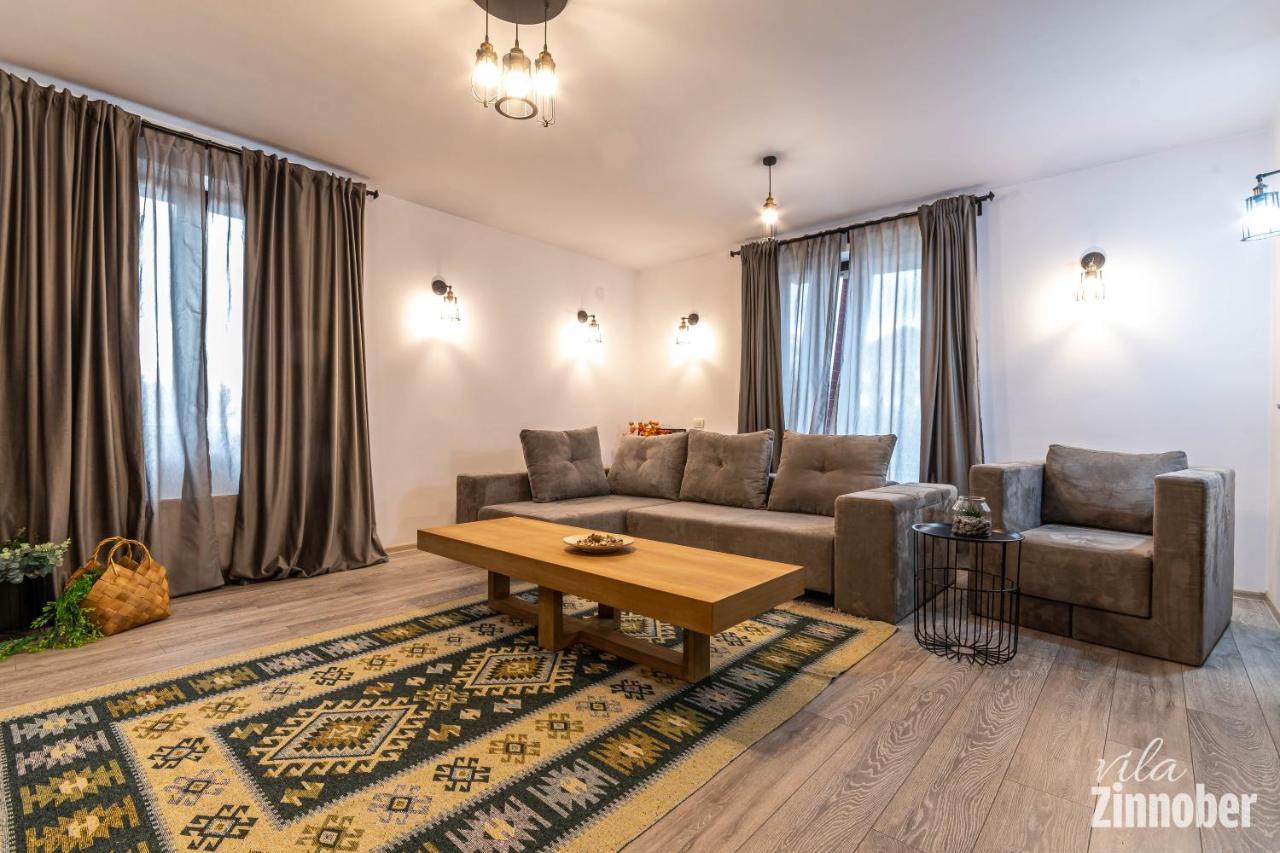 Vila Zinnober Брашов Екстер'єр фото