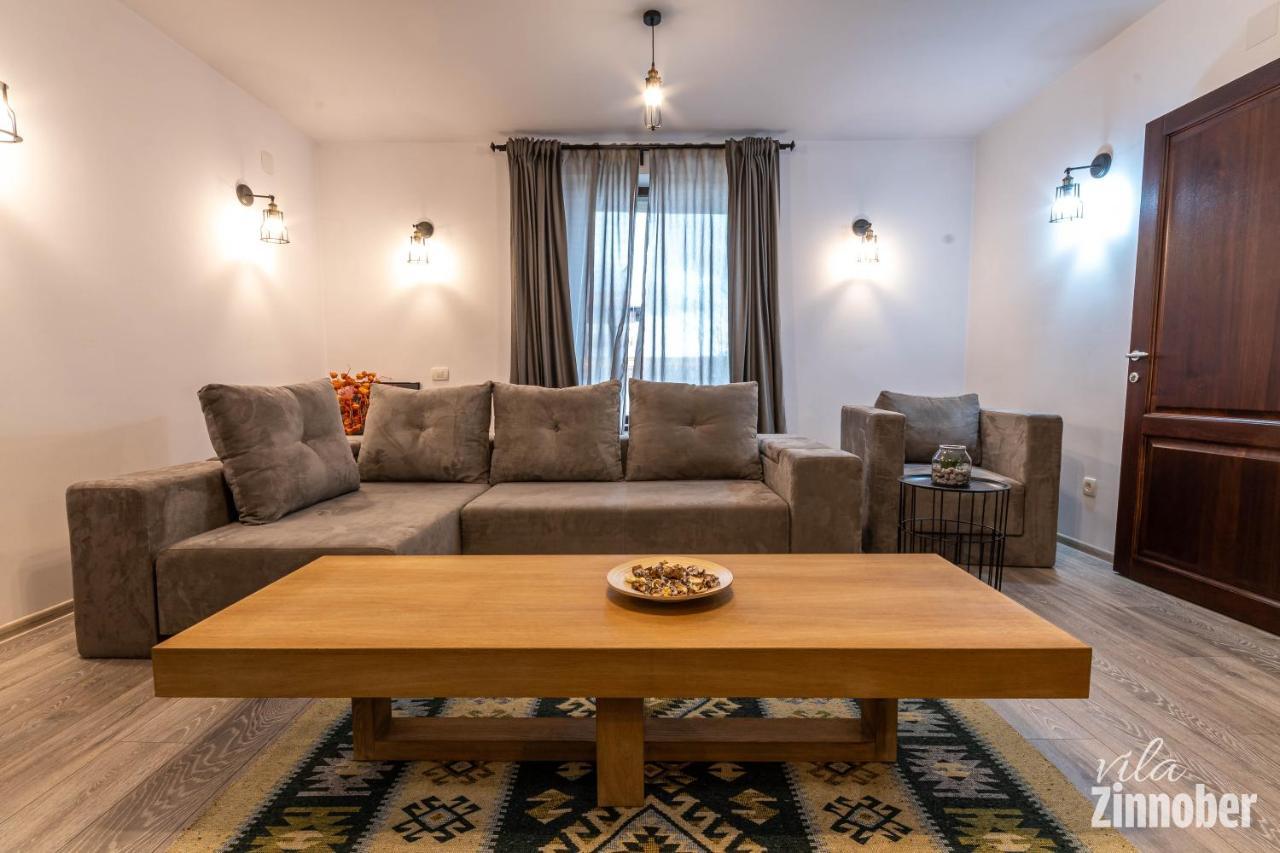 Vila Zinnober Брашов Екстер'єр фото
