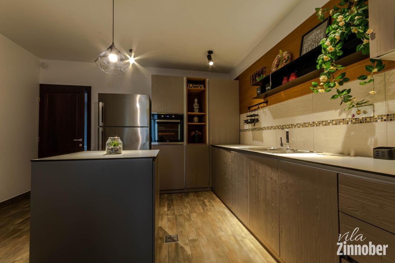 Vila Zinnober Брашов Екстер'єр фото