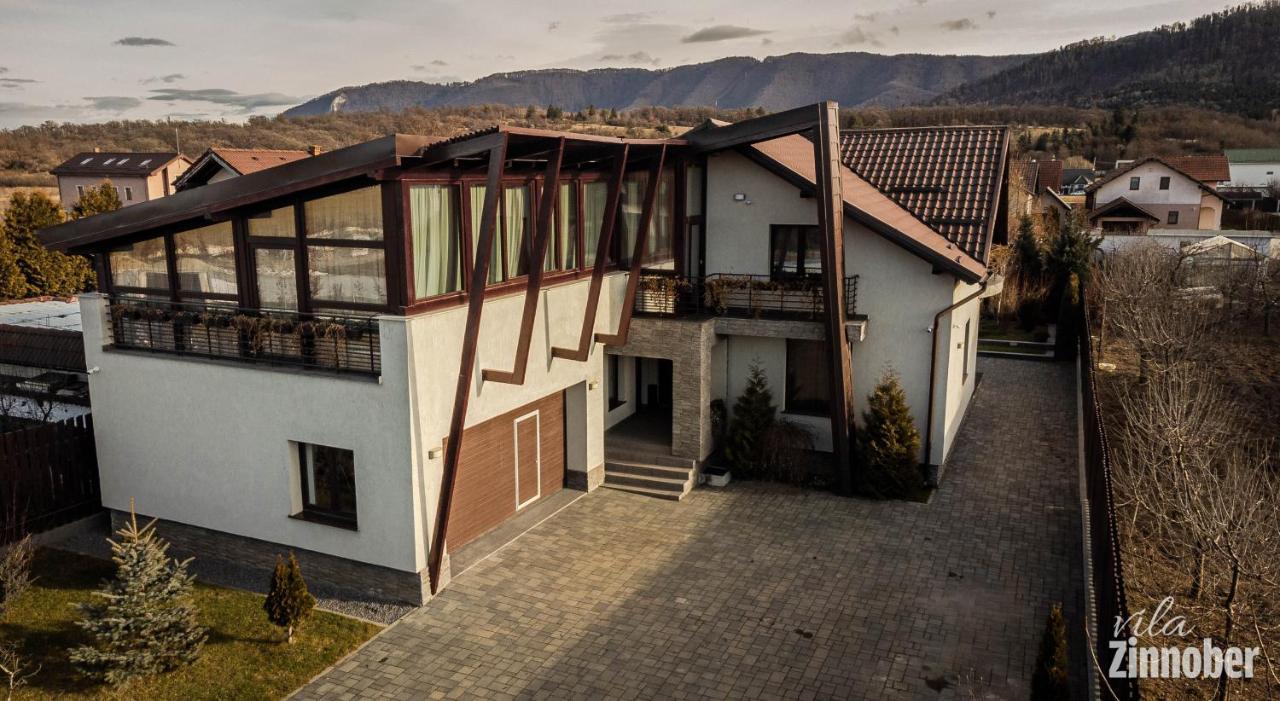 Vila Zinnober Брашов Екстер'єр фото